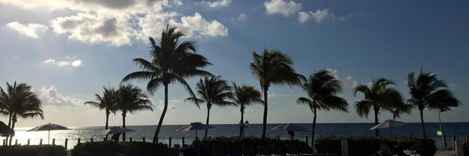 Braulo_surfer's profile banner image