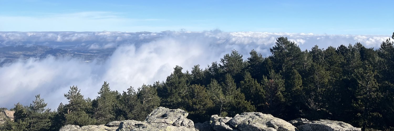 Albarogarzia's profile banner image