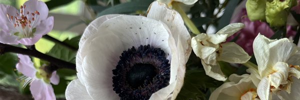 whosalama Profile Banner