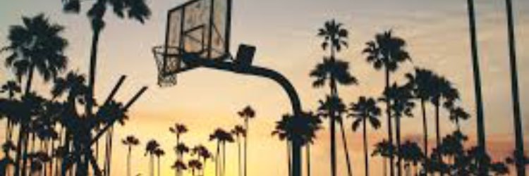 michelle bodosian ღ banner