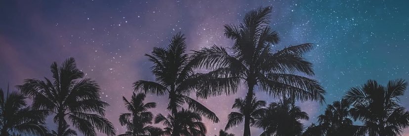 daibree's profile banner image