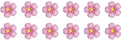 Beatriz♣ banner