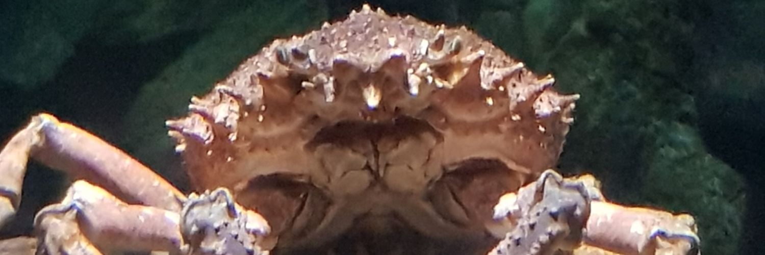 fedupofsalad's profile banner image