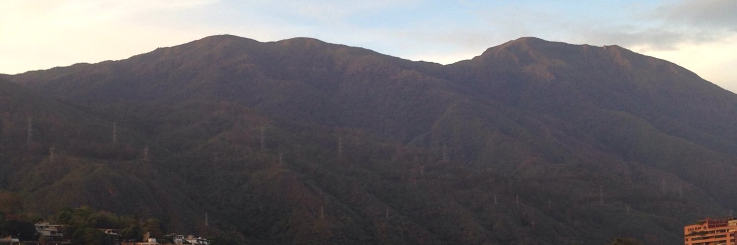 Adripatino's profile banner image