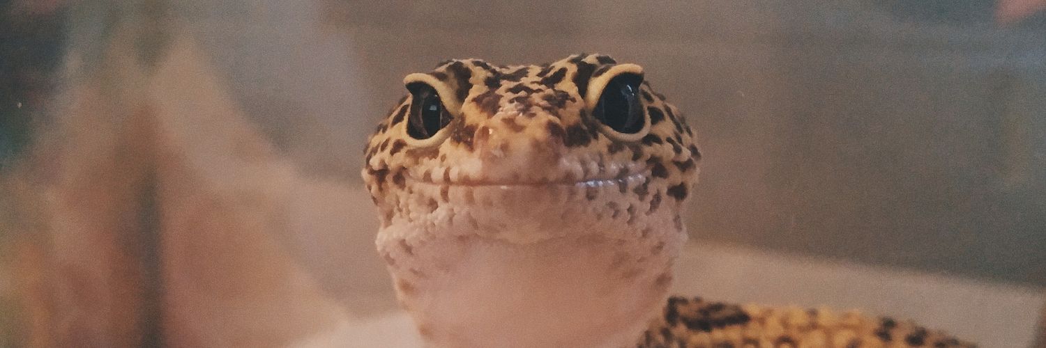 waldrooop's profile banner image