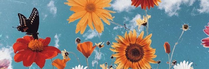 NerinaBover's profile banner image