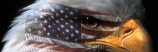 nmarkovich26's profile banner image
