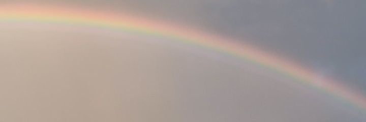 dchiiyeka's profile banner image