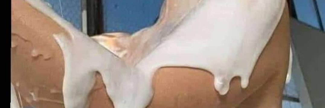 🇩🇴 ♥'ℓα_ιηØℓ'♥🇩🇴 banner