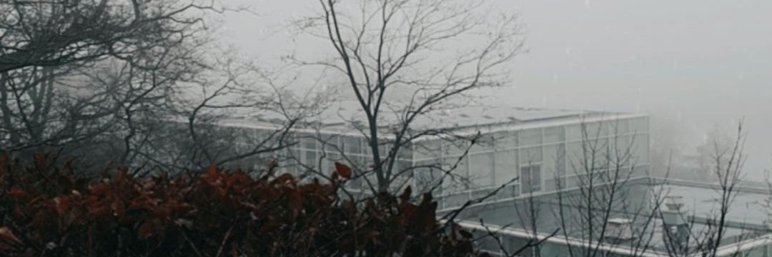 cheyenneyasmae's profile banner image