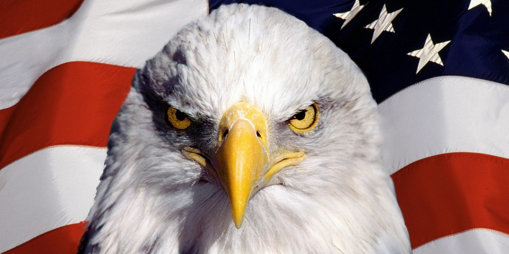 HighfalutinWP's profile banner image