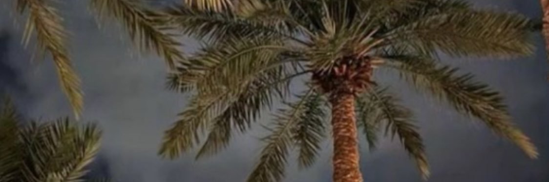 _mufaj's profile banner image