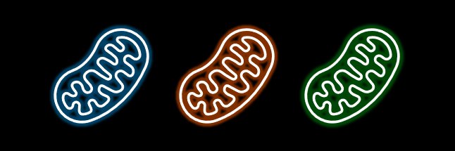 Cameron A. Schmidt, PhD banner