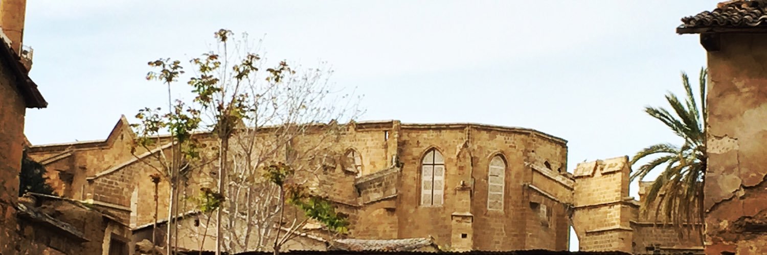 Beatrix Kiddo banner