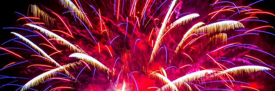 Tanya Katovich Meador banner