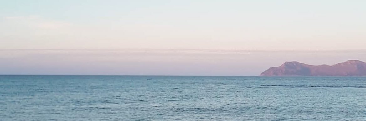 summerinreality's profile banner image