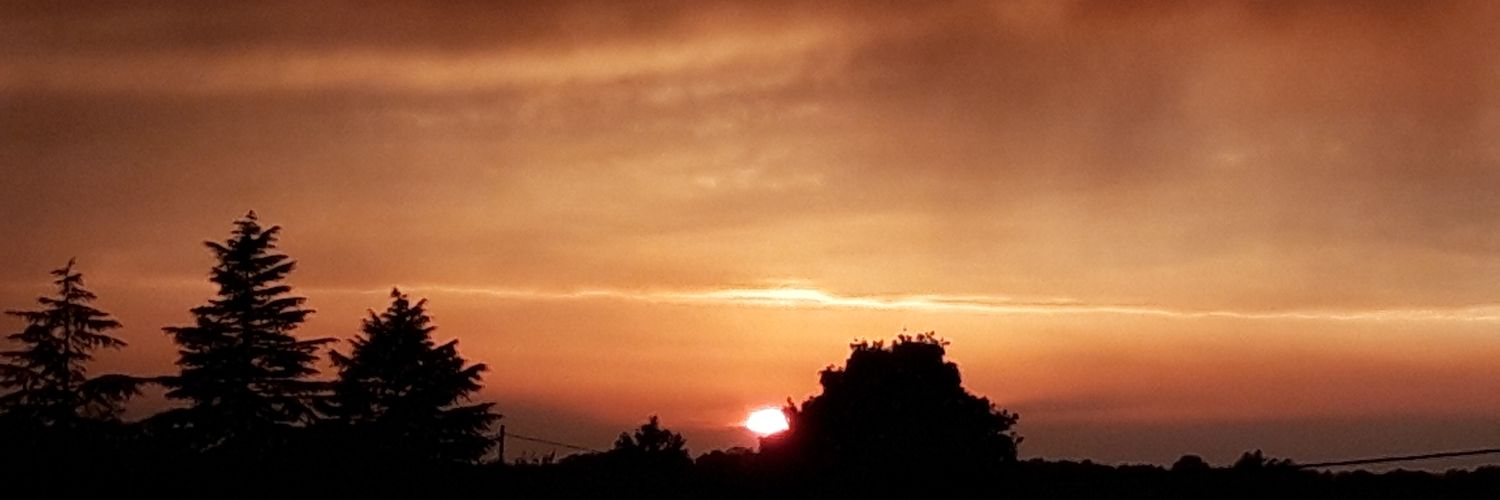 Jardro banner
