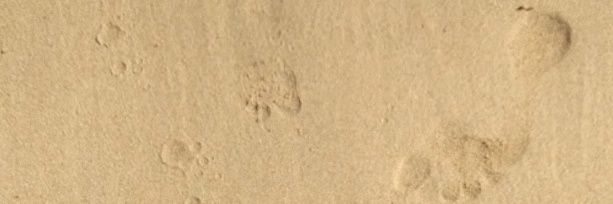 9877_Mm's profile banner image
