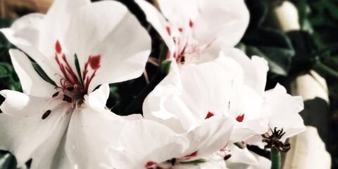 son_yi's profile banner image
