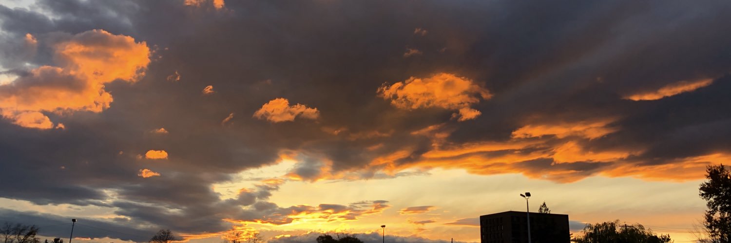 Nicole Monick banner