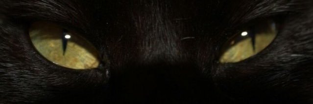 Verspapiii's profile banner image