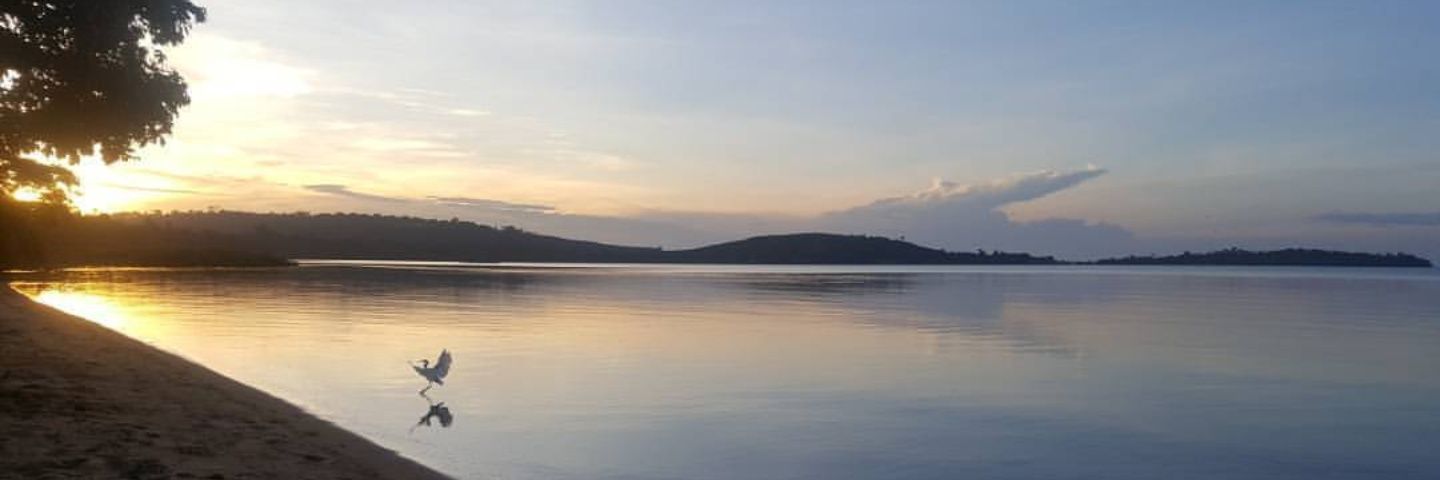 leonah_m's profile banner image