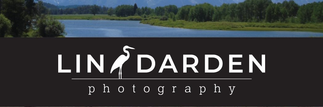 DardenLin's profile banner image