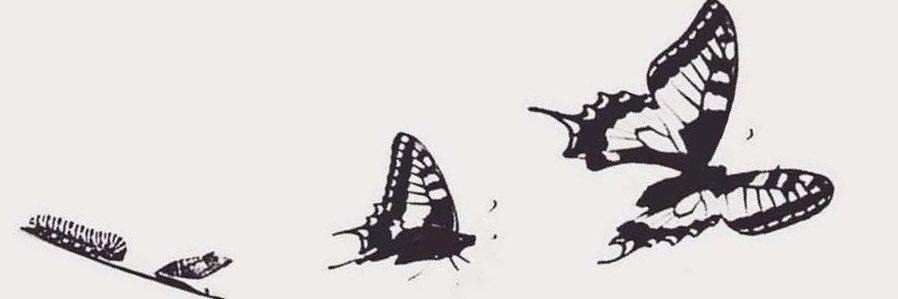 sidneyisastorm's profile banner image