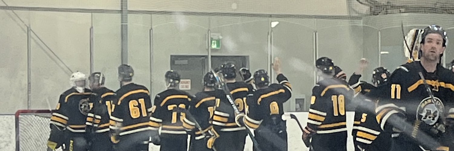 Marwayne Comets banner
