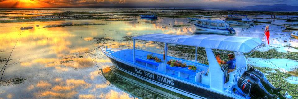 bigfishdiving's profile banner image