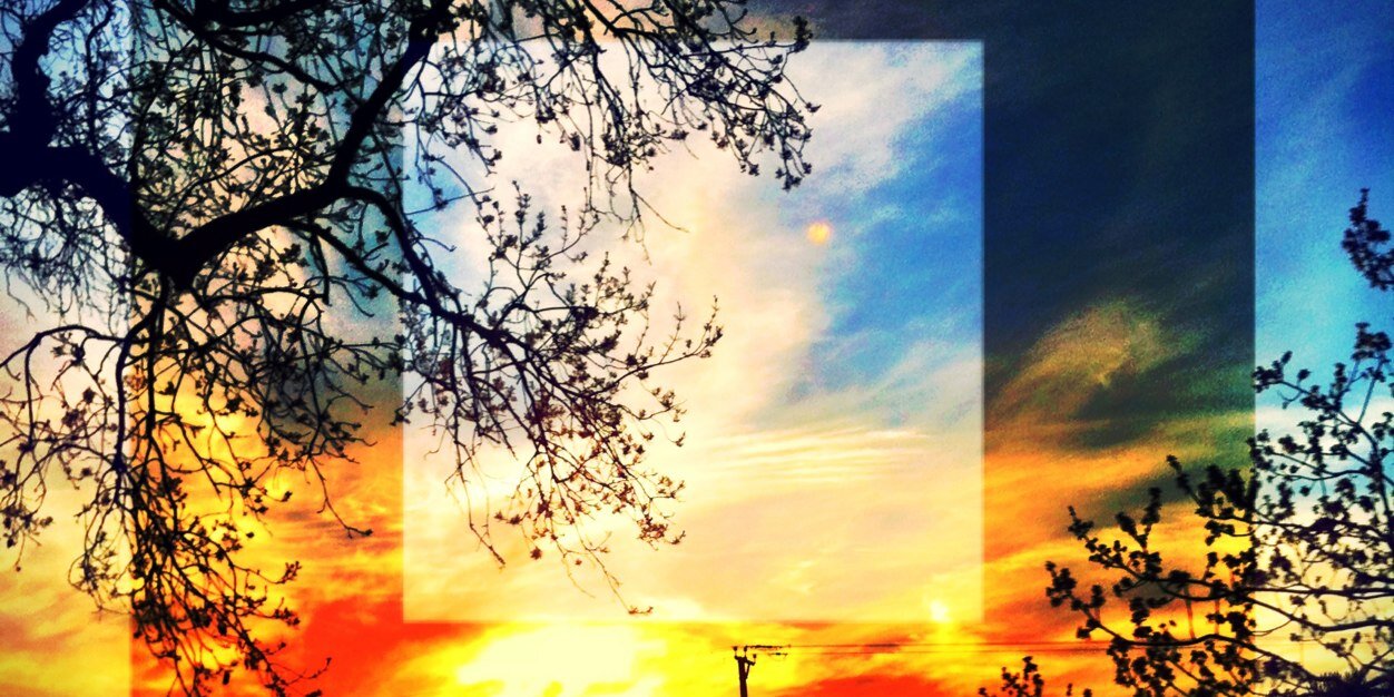 Daniel Morriss banner