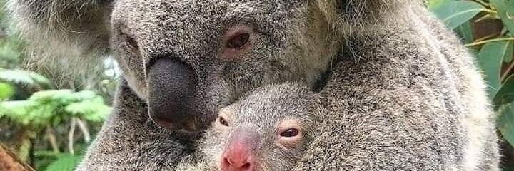 caragreen83's profile banner image