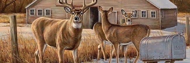 🌲7.62 OUTDOORS🌲 banner