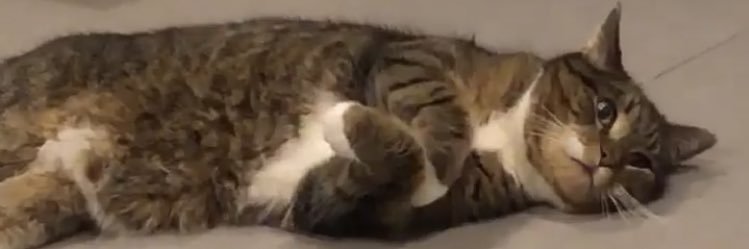 immattbecker's profile banner image