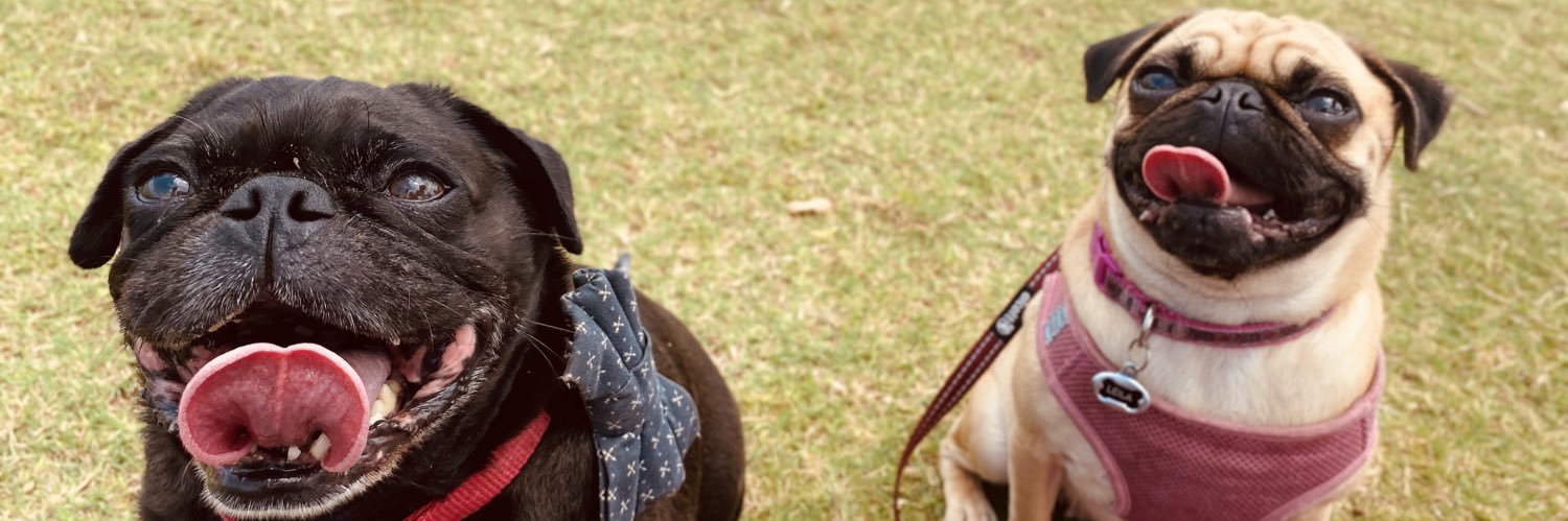 CassSLAY's profile banner image