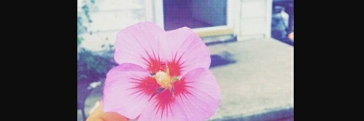 ken_d0ll's profile banner image