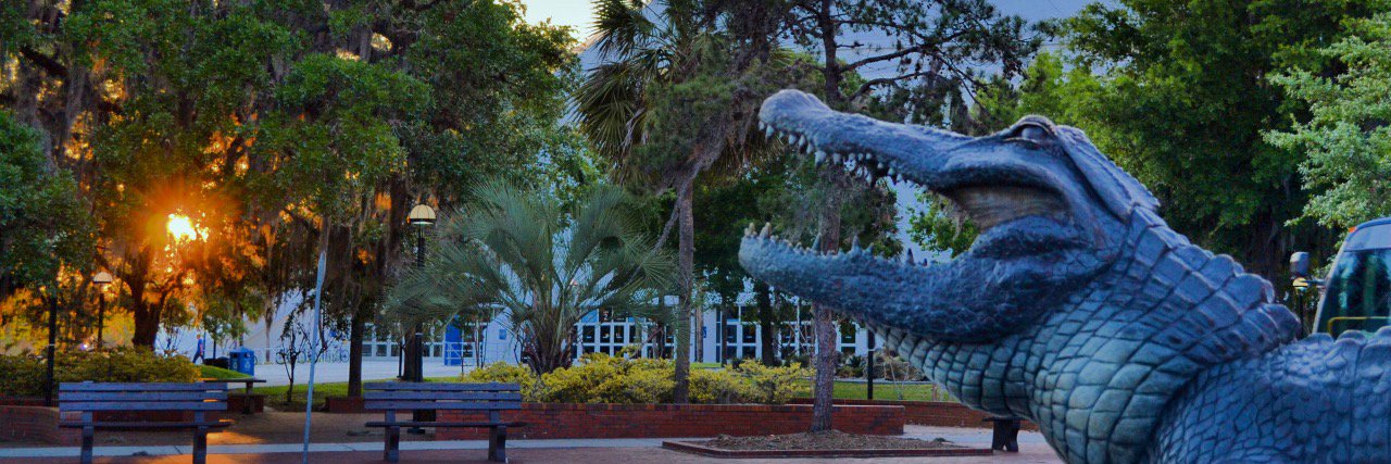 flcs_uf's profile banner image