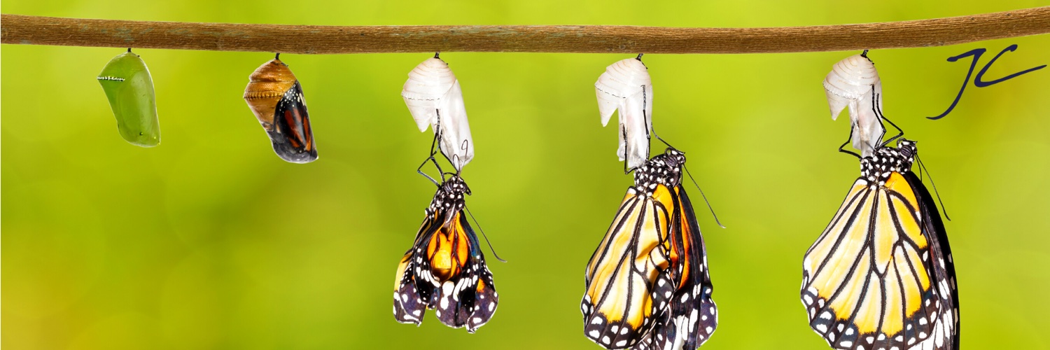 Jagdish Belwal banner