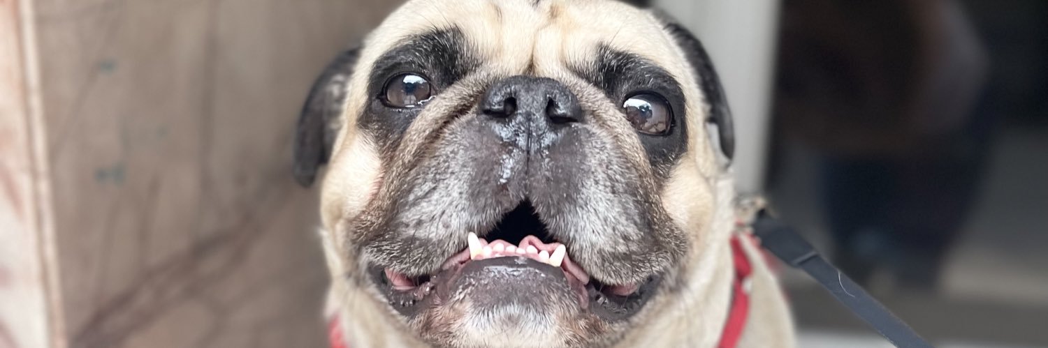 Mel0_k's profile banner image