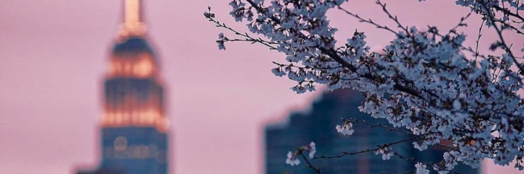 ReeMee9's profile banner image