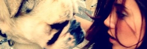 aninha banner