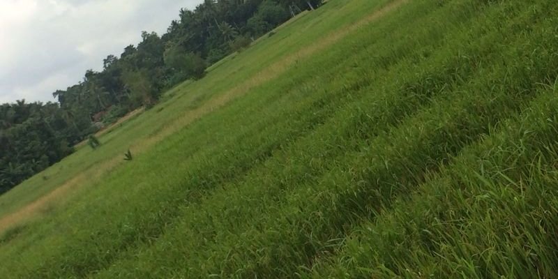 lenooo52's profile banner image
