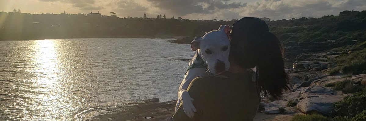 AngNuyHen's profile banner image