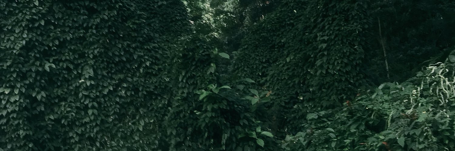 hmbryngelson's profile banner image
