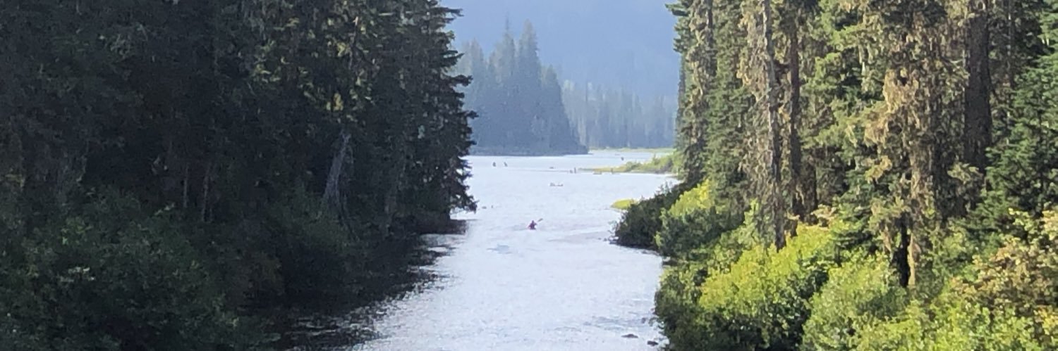 SarahB429's profile banner image