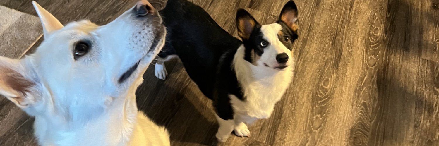 tinyady's profile banner image