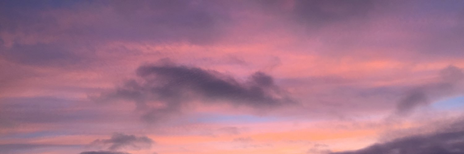 ari_gon's profile banner image