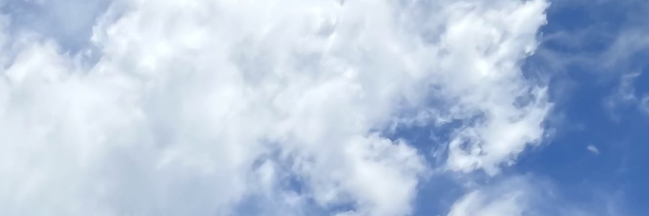 wldntka's profile banner image