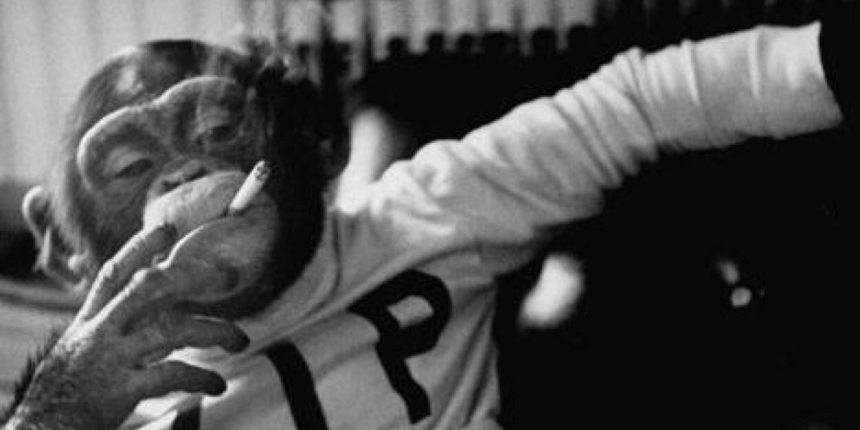 T_Jordan22's profile banner image