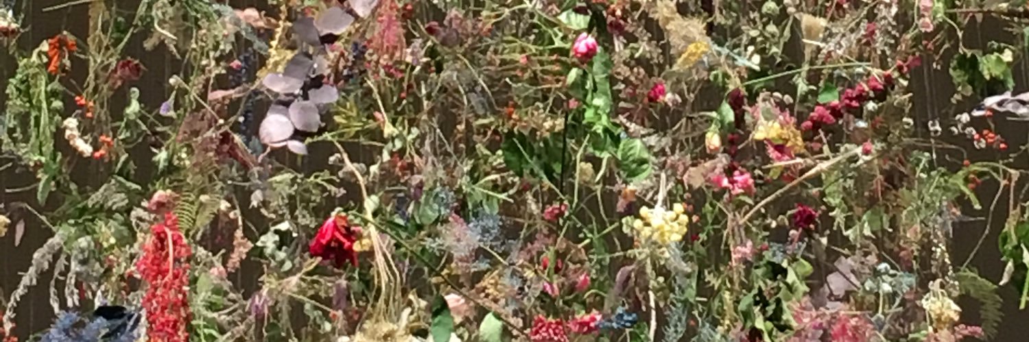 HisakoQ's profile banner image